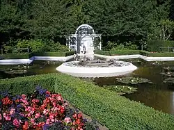 Star Pond