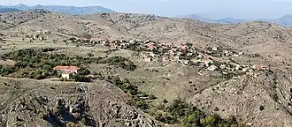 Staravina