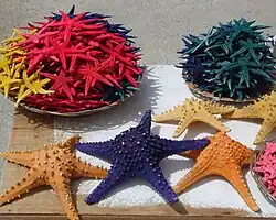 Des Pentaceraster séchées pour la vente aux touristes aux Philippines.