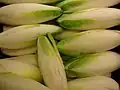 Endives (Cichorium intybus var. foliosum).