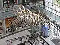 Citta Gentile (La ville amicale) d'Alessandro Mendini