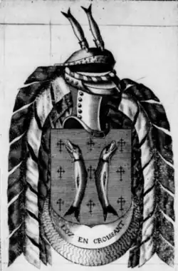 Jean VII de Salm