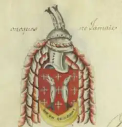 Jean VII de Salm