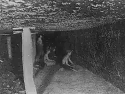 En 1905, près d'Ipswich (Australie).