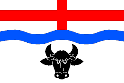 Drapeau de Statenice