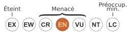 ( EN )