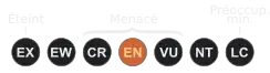 ( EN )