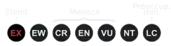 ( EX )