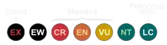( NE)