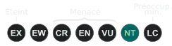 ( NT )