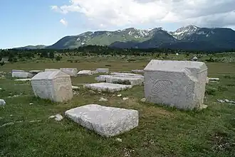Dugo polje
