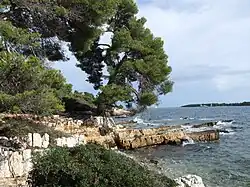 Bord de mer.
