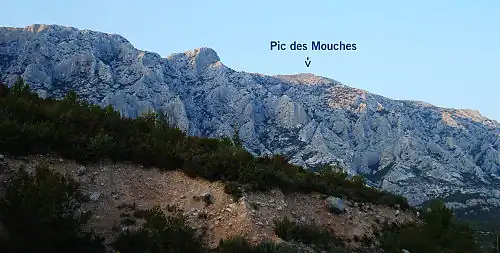 Vue du pic des Mouches depuis la face sud.