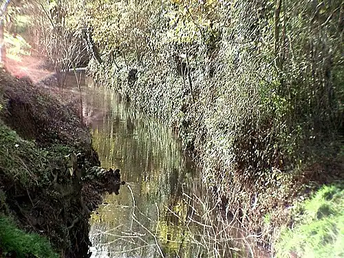 Le ruisseau de la bruyère, rue de Watou.