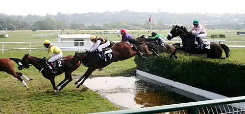 Steeple-chase (Royaume-Uni)