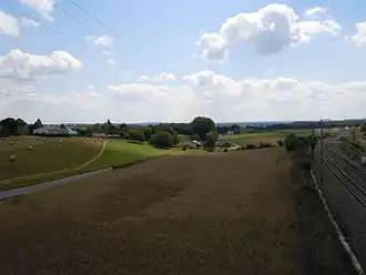 Stehnen