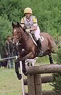 Selle français en concours complet.