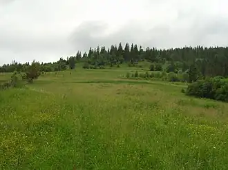 Vue de la montagne.