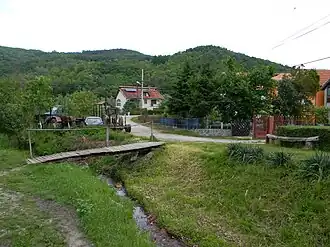 Stenjevac
