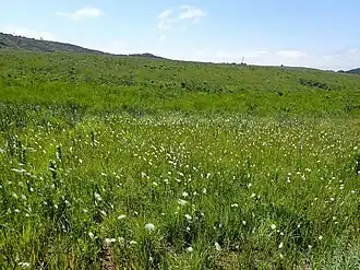 Image illustrative de l’article Col de Nelshoogte