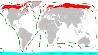 Flux migratoires de la Sterne arctique (Sterna paradisea) du Nord au Sud pour l'hivernage et du Sud au Nord pour rejoindre leur lieu de reproduction