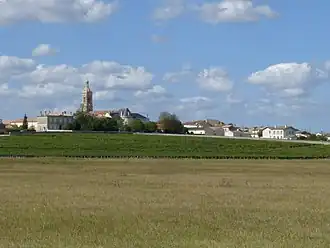 Saint-Estèphe (Gironde)