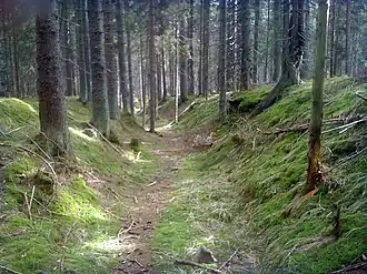 Image illustrative de l’article Sentier d'or (Allemagne-Tchéquie)