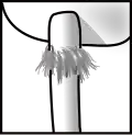 Déliquescent