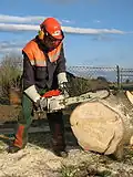 Une tronçonneuse en action.
