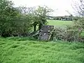Échalier en béton du XIXe siècle, Mass path, Ranaghan, Collinstown.