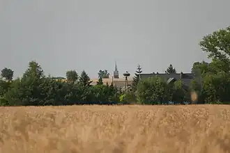 Kołoszyn
