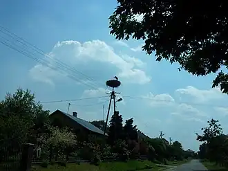 Stary Bazanów