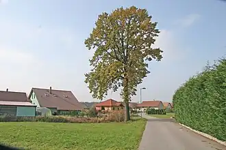 Strašov