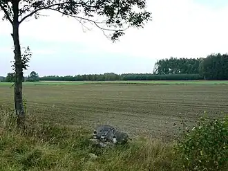 Straszewy