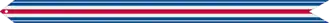 Ruban de la médaille
