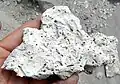 Stromatolithes de la laguna Verde