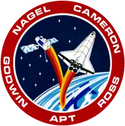Insigne de la mission