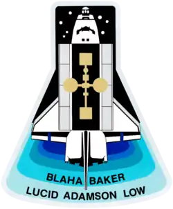 Insigne de la mission