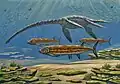 Grands prédateurs marins du Crétacé supérieur ; Pliosauroidea et Xiphactinus. Aussi, d'énormes palourdes incrustées d'huîtres.