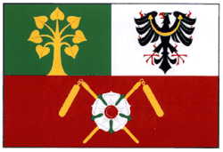 Drapeau de Sušice
