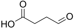 Image illustrative de l’article Semialdéhyde succinique