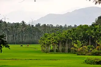 Wayanad