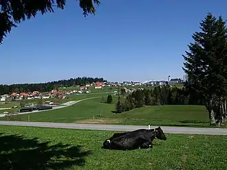 Sulzberg (Vorarlberg)