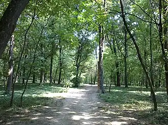 Šumice (Voždovac)