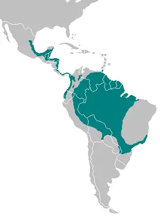 Description de l'image Sungrebe_(Heliornis_fulica)_Range_Map.png.