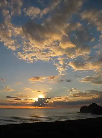 Te Henga