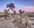 Coucher du soleil près d'Albuquerque.