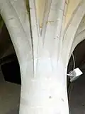 Pénétration des nervures.