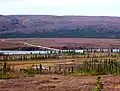 Susitna Bridge