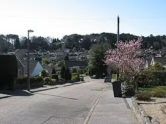 Broadstone (Dorset)